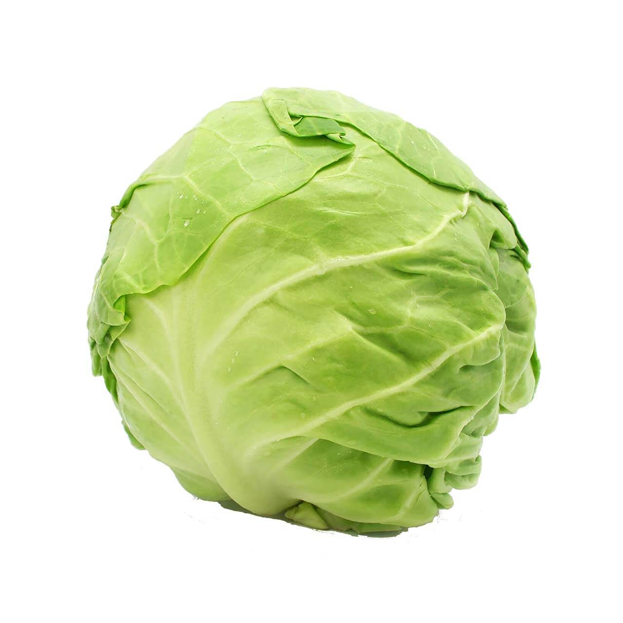 Cabbage