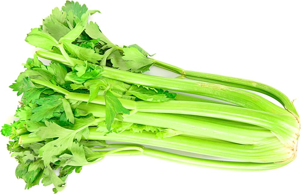 Celery