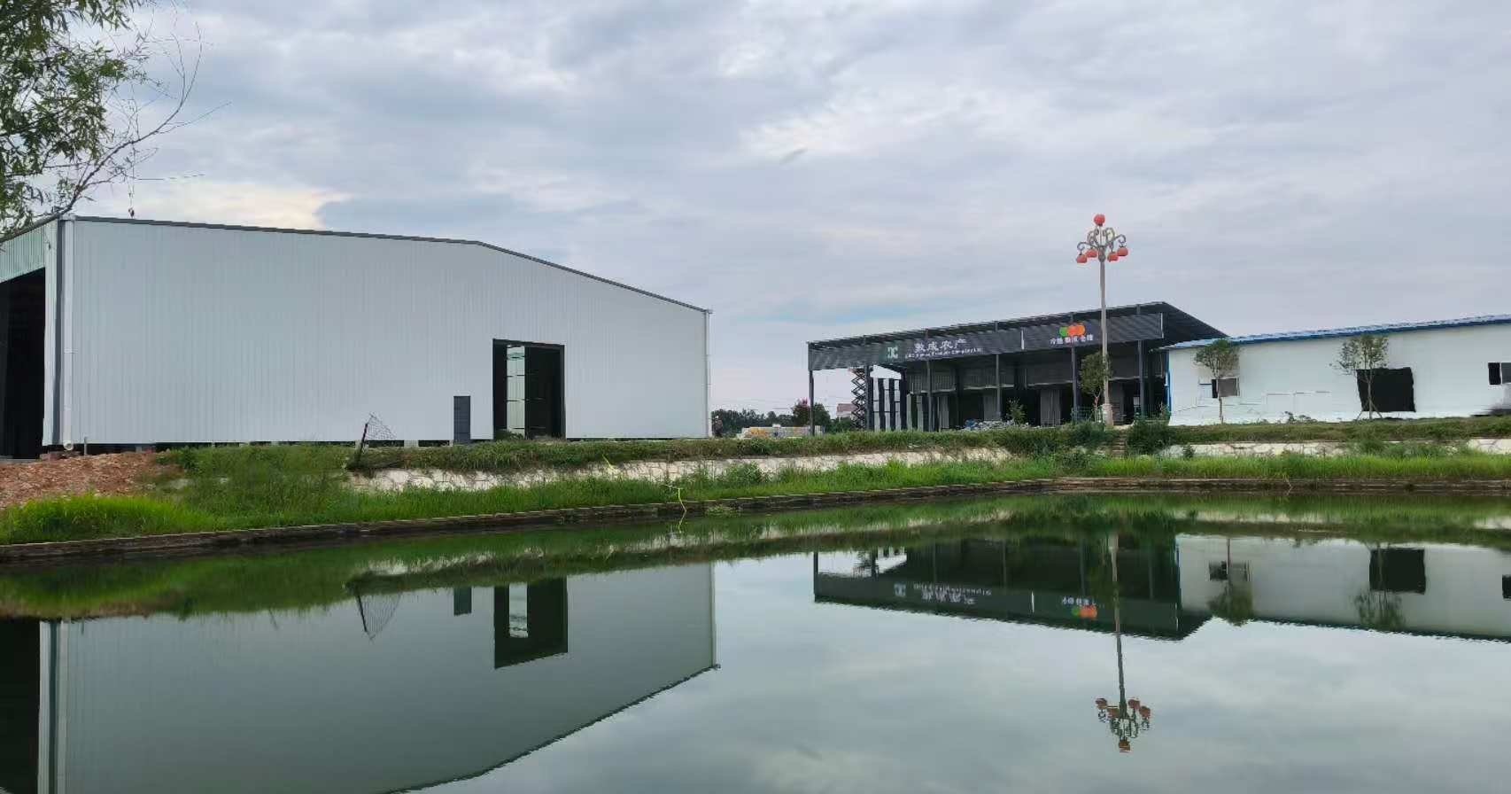 石门敦成工厂全景