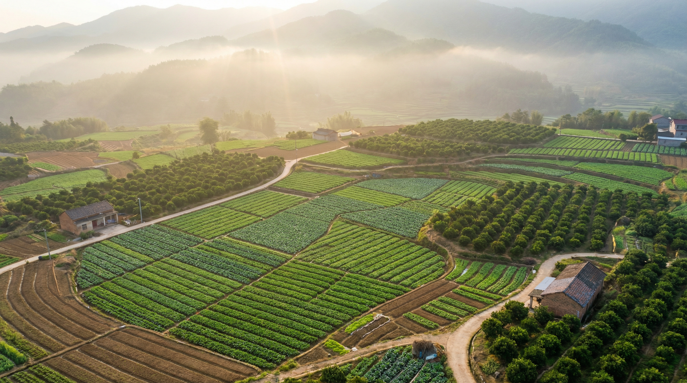 Fresh produce farmland